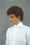 Pinnares wig